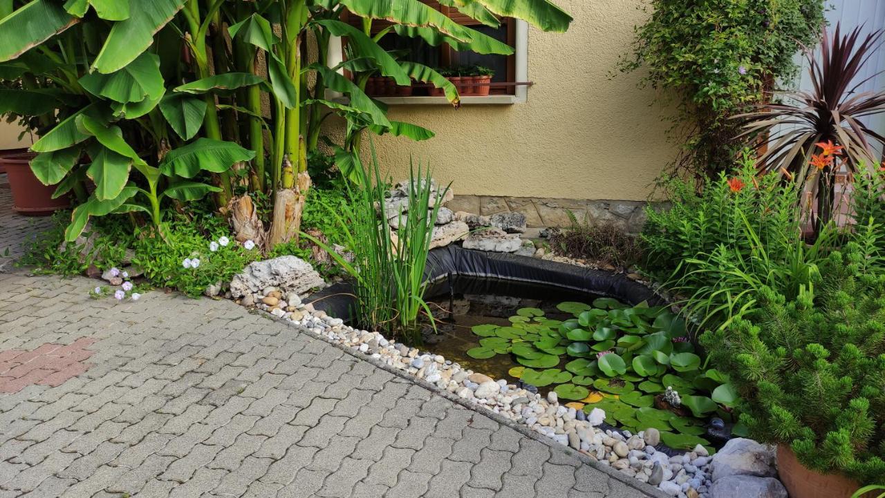 Eckhardt Vendeghaz Hotel Villany Exterior photo
