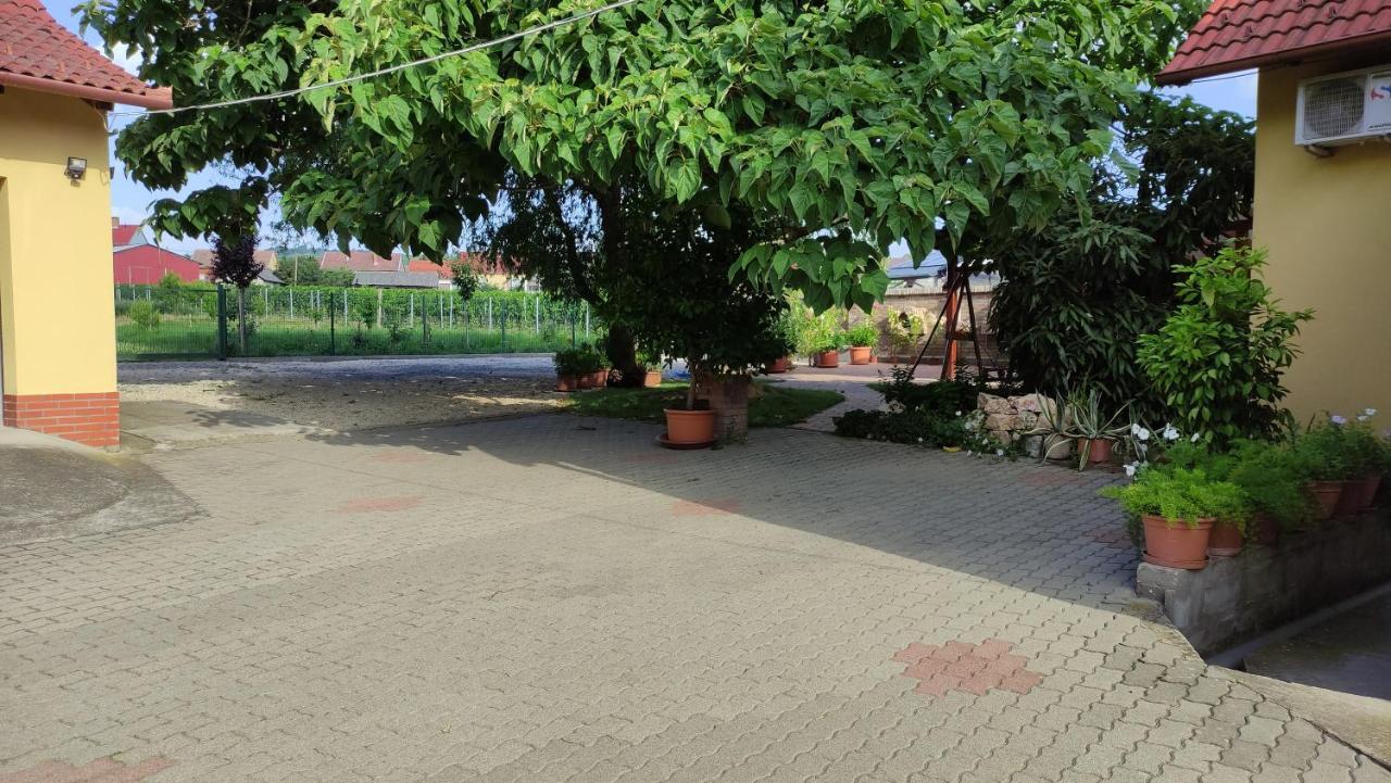 Eckhardt Vendeghaz Hotel Villany Exterior photo